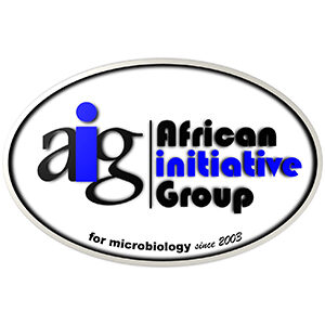 AIG Logo Our Sponsors